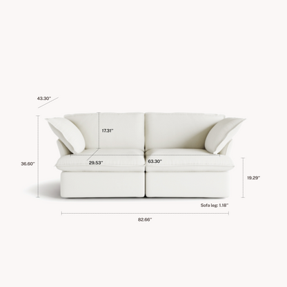CloudComfort™ Modular Washable Luxe Sofa - 2 Seater Sofa