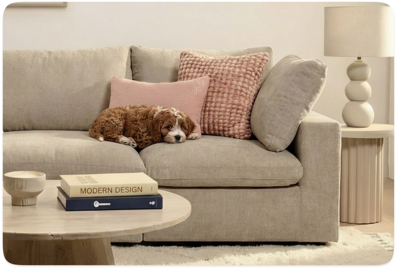 Pet & Family Friendly